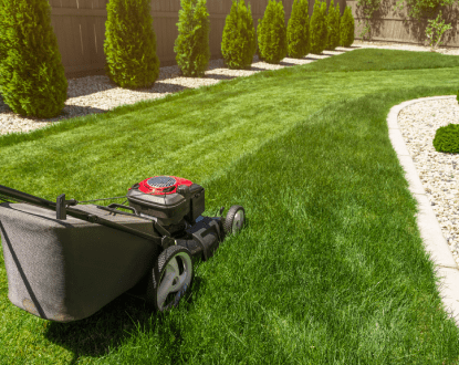 LAWN MOWING
