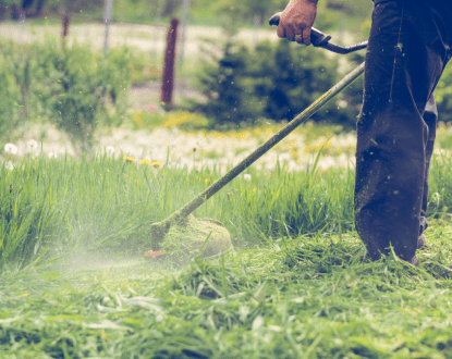 BUSH TRIMMING